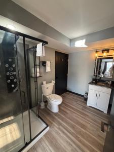 a bathroom with a toilet and a glass shower at Plymouth Suites in Plymouth +14 photos