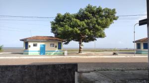 a small house with a tree next to a street at Casa 2 quartos em frente a praia na cidade mística de colares a 96 quilômetros de Belém do Pará in Colares