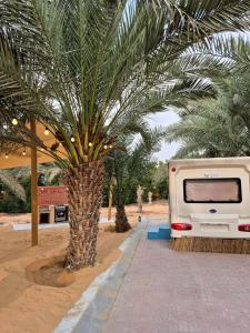 a palm tree next to an rv parked next to a palm tree at RV Palm Oasis in Liwa