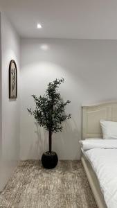 En eller flere senge i et værelse på The Pearls Apartment