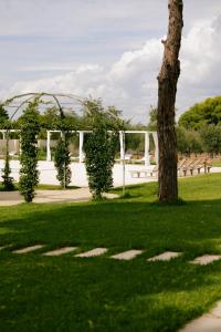 Zahrada ubytování Villa Sanarica + 94 fotografií