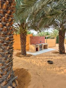 two palm trees and a table in the desert at RV Palm Oasis in Liwa