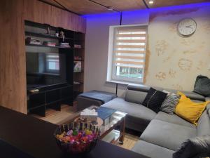 a living room with a couch and a tv at Rose in Bielawa
