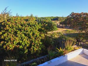 Afbeelding uit fotogalerij van Habibi acomodação in Maputo