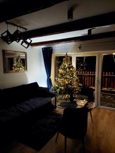 Χώρος καθιστικού στο Apartament Graal Roztocza