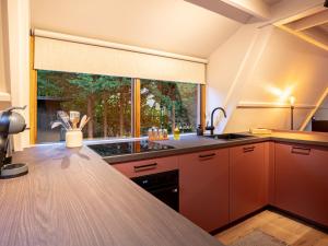 cocina con fregadero y ventana grande en Boshuisje Rekem - Sylva, en Lanaken