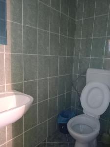 ein Badezimmer mit weißer Toilette und Waschbecken in der Unterkunft Liliacului in Marghita