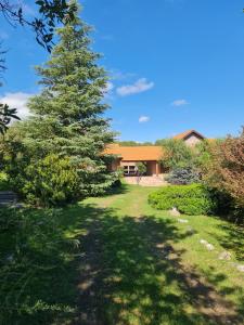 Zahrada ubytování Complejo Pasos Malos + 53 fotografií