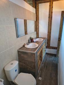 La SerenaにあるHOTEL Casa del Árbol ECOPARQUE CHINAUTAのバスルーム(洗面台2台、トイレ、鏡付) +17枚の写真