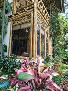 La SerenaにあるHOTEL Casa del Árbol ECOPARQUE CHINAUTAの植物がたくさん立ち並ぶ家