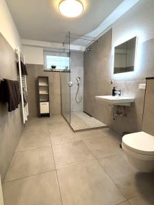 een badkamer met een douche, een toilet en een wastafel bij Erholung im Westerwald ! in Hachenburg