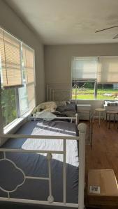 een slaapkamer met 2 bedden in een kamer met ramen bij A bed in Mike' s Home only 22 dollars a night in Texas City