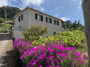 ein Haus mit rosa Blumen davor in der Unterkunft Terra Batista house in Porto da Cruz