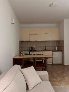 Kuchyň nebo kuchyňský kout v ubytování Apartment VaLi