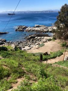 Blick auf das Meer mit Felsen im Wasser in der Unterkunft Habitaciones en Casa de la Playa! in Quintero