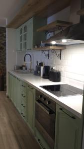 a kitchen with green cabinets and a counter top at Ephrosinis Cottage in Pedoulas +8 photos