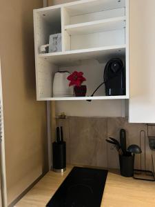 Kuchyň nebo kuchyňský kout v ubytování Small Apartman + 11 fotografií