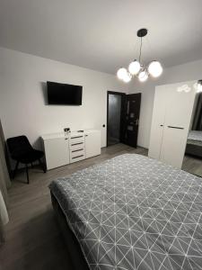 una camera da letto con un letto, una scrivania e una televisione di Ideal House Rent a Petroşani