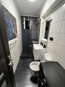 un bagno con un water e un lavandino di Ideal House Rent a Petroşani