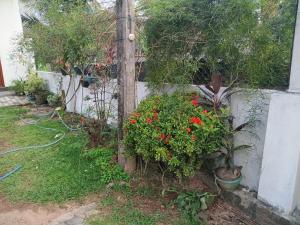 een tuin met rode bloemen en een hek bij The Grand Villa Malabe in Malabe