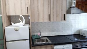 eine Küche mit Spüle und einem weißen Kühlschrank in der Unterkunft Casa América in Labra
