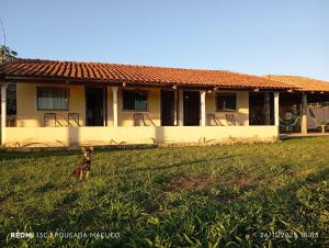un cane che si trova sull'erba di fronte a una casa di Pousada do macuco a São João Batista do Glória Altre 2 foto