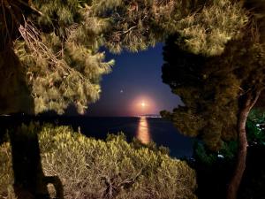 una vista dell'oceano di notte da tra due alberi di Ξενοδοχείο Ευριπίδης ad Áfitos