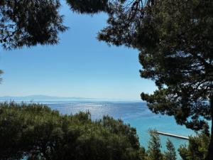 vista sull'oceano da una collina alberata di Ξενοδοχείο Ευριπίδης ad Áfitos
