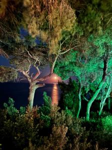 una vista di un ponte su un lago di notte di Ξενοδοχείο Ευριπίδης ad Áfitos
