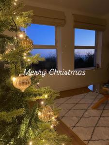 un albero di Natale con luci in una stanza con finestra di Loughview Lodge a Whitehead