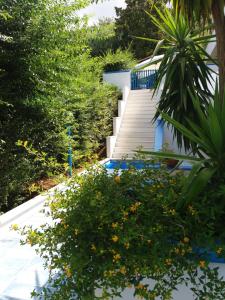 A garden outside Villa Betta