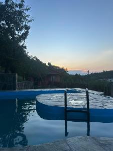 een zwembad met een stoel in het water bij TopHill Villa in Kratovo