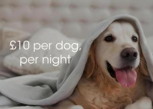 Питомец или питомцы в The Valley of Rocks Hotel