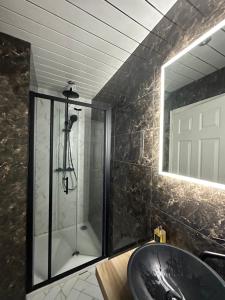 a bathroom with a shower and a sink at Cosy Coach House - Belfast in Belfast +5 photos