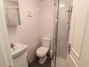 een witte badkamer met toilet en douche bij Archers in Keswick +13 foto's