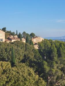 een groep bomen bovenop een heuvel bij Loft Appartement Les Angles 30133 Possibilité jacuzzi in Les Angles Gard