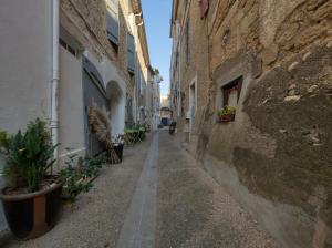 une ruelle dans un vieux bâtiment avec des plantes en pot dans l'établissement Studio NEW YORK, à Alignan-du-Vent