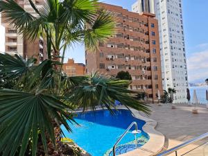 a swimming pool with palm trees in a city at Sea&Skyline Suites Benidorm in Benidorm