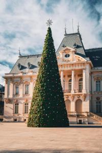 a christmas tree in front of a building at AleA Central Studio Art Museum in Craiova