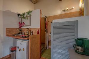 een kleine keuken met een spoelbak en een koelkast bij Bien-être in Alignan-du-Vent +11 foto's