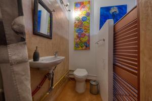 een kleine badkamer met een wastafel en een toilet bij Bien-être in Alignan-du-Vent