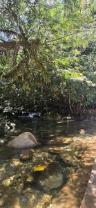 a stream with rocks and trees in a forest at Hacienda Popalito in San Rafael