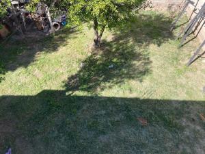una vista sull'albero in un cortile di Hostal las Margaritas a Salta