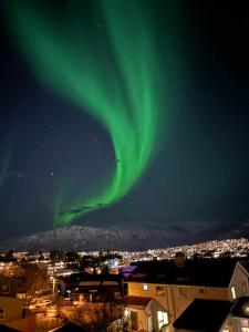 Billede fra billedgalleriet på Hogne's house i Tromsø + 7 billeder