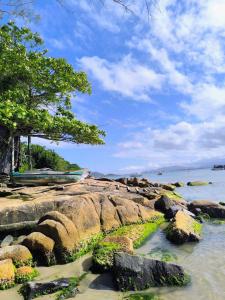 una spiaggia con rocce, albero e acqua di Cantinho do Sonho - Chalé Sol a Palhoça