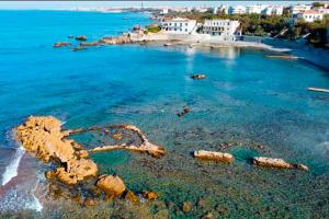 una vista aerea di una spiaggia con acqua di Seaside holiday inn - free parking a Livorno