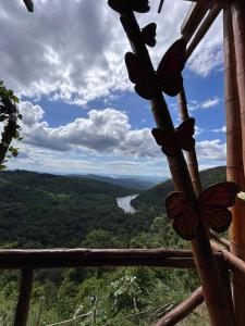 een uitzicht vanuit een hut met vlinders op het raam bij Renaco Glamping in Sauce