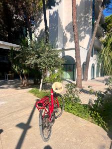 Jízda na kole v ubytování The Wish Palace nebo okolí + 2 fotografie