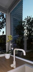 ein Waschbecken mit einem Wasserhahn vor dem Fenster in der Unterkunft Govi Apartment al pieno centro di Tirana in Tirana