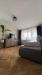 ein Wohnzimmer mit Sofa und Flachbildfernseher in der Unterkunft Apartament na Błoniach in Sanok